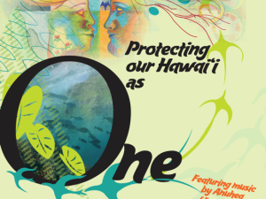 Conserving Hawaiʻi Year after Year with Aloha ʻĀina