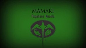 Māmaki – Hiʻilei Kawelo