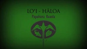 Loʻi: Hāloa – Kīhei Nahale-a