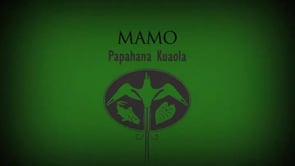 Mamo – Sam ʻOhu Gon