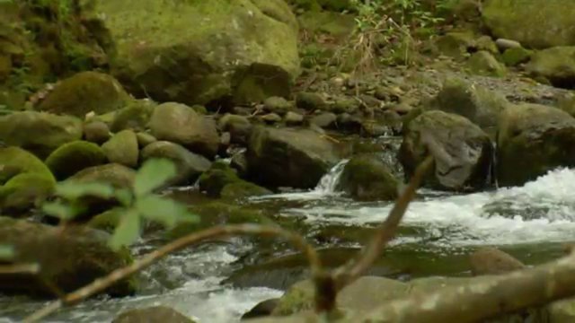 Wahi Koʻikoʻi: ʻIao