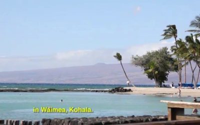 Wahi Koʻikoʻi: Kalāhuipuaʻa