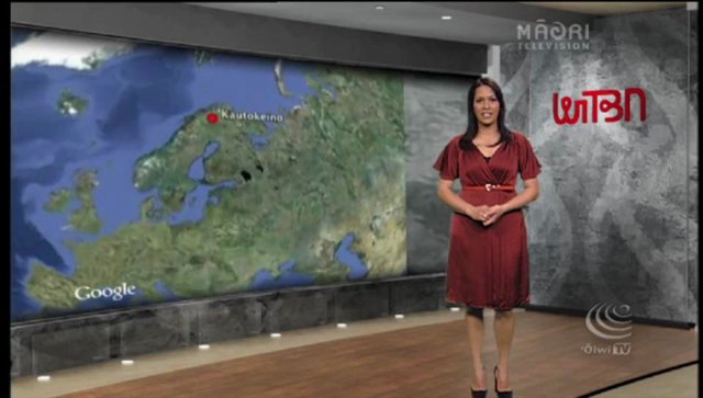 Indigenous Insight – Economy