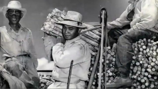 Farming for Hawai’i’s Future