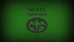 ʻĀkōlea – Sebastian Marquez