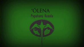 ʻŌlena – Pueo Pata