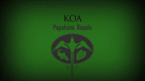 Koa – Kīhei Nahale-a