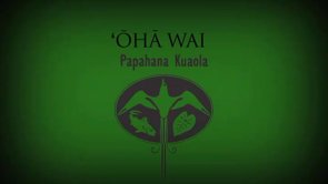 ʻŌhā Wai – Sebastian Marquez