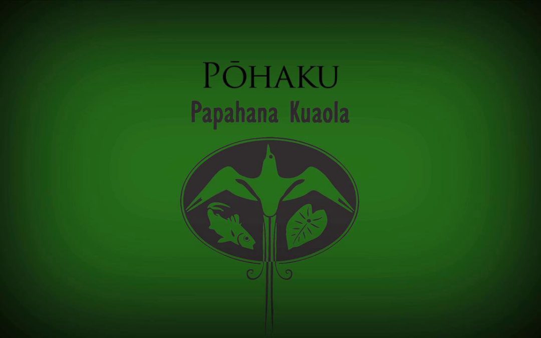 Pōhaku – Billy Fields