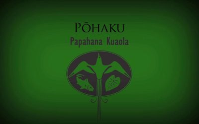 Pōhaku – Billy Fields