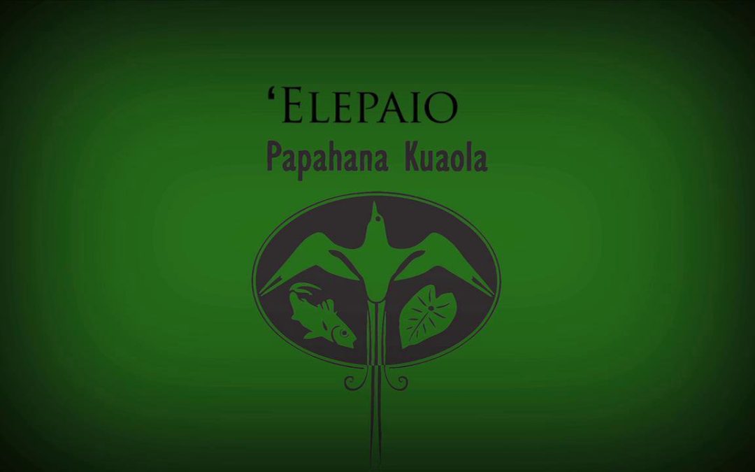 ʻElepaio – Kaipoʻi Kelling