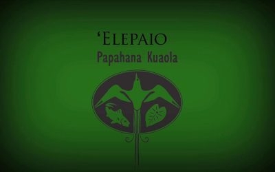 ʻElepaio – Kaipoʻi Kelling