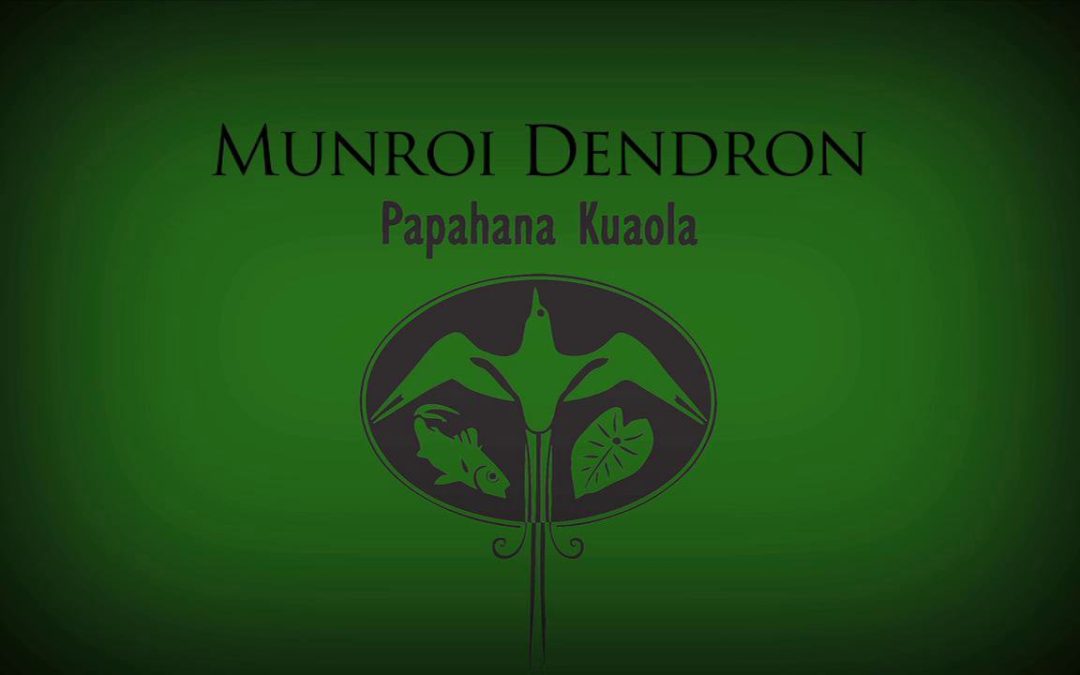 Munroi Dendron – Kuʻu