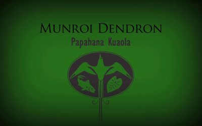 Munroi Dendron – Kuʻu