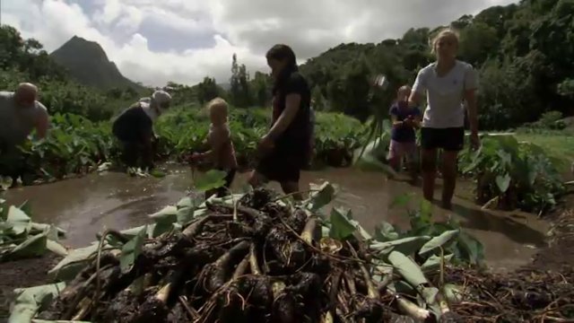 Hawaiʻi’s Legacy of Learning