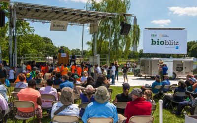 BioBlitz 2016