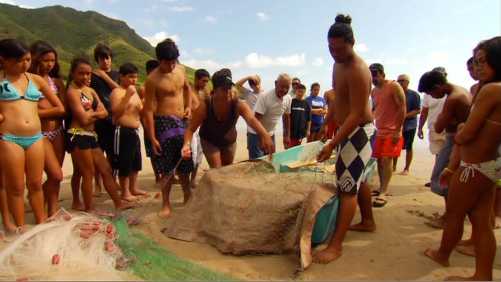 Indigenous Insight- Indigenous Youth