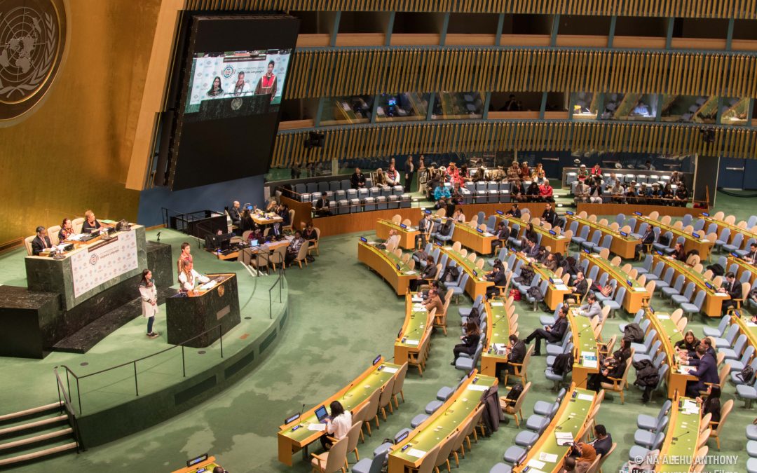 Hawaiian Language Takes Center Stage at United Nations