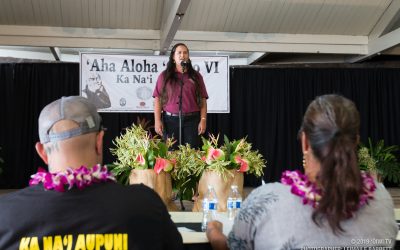 ʻAha Aloha ʻŌlelo 2019 | Hoʻokūkū Hoʻopaʻanaʻau Pae Papa 9 – Lehulehu