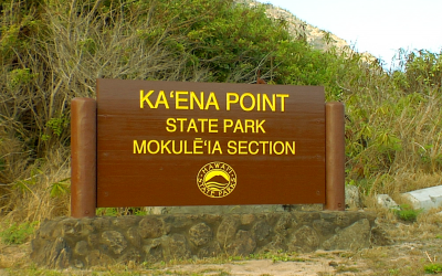 Kaʻena Point Road Designation