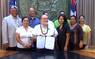 He Mahina Kūhelu ko ka ʻŌlelo Hawaiʻi