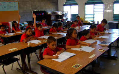 Hawaiʻi State Assessment Lost In Translation