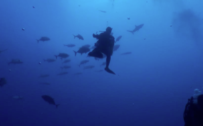 Huakaʻi Papahānaumokuākea 2012: Reaching New Depths