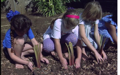 Nā Keiki o ka ʻĀina – Children of the Land