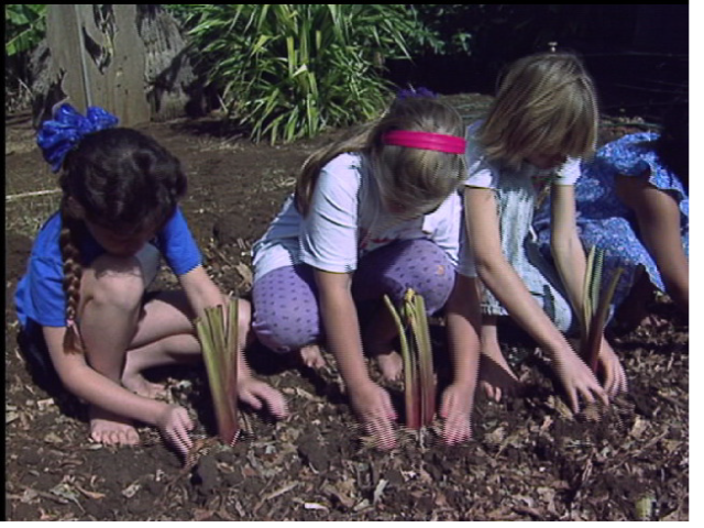 Nā Keiki o ka ʻĀina – Children of the Land