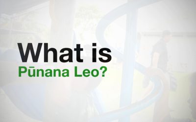 What is Pūnana Leo?