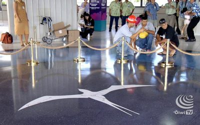 Honolulu Airport Star Compass