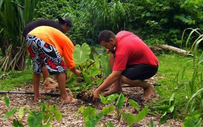 Hālau Kū Māna – Celebrating 10 Years of Hawaiian Charter School Excellence