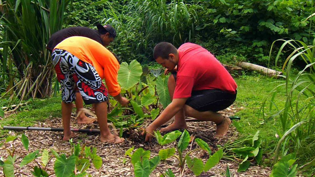 Hālau Kū Māna – Celebrating 10 Years of Hawaiian Charter School Excellence