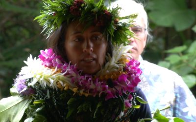 A Teacher on Land, A Student at Sea