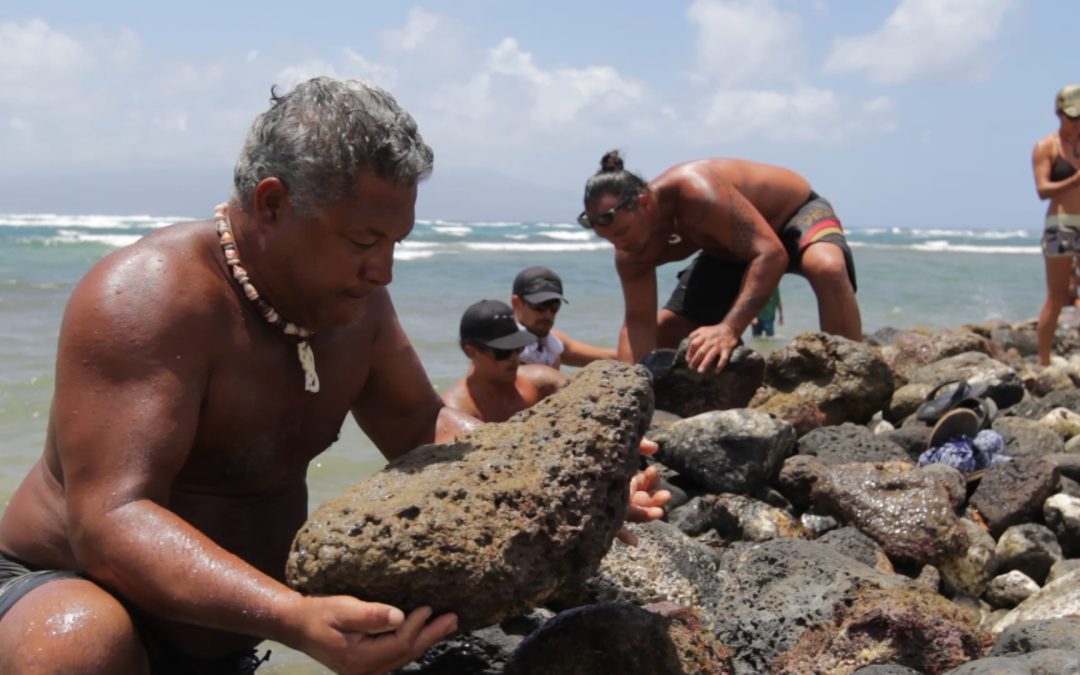 ʻĀina Momona: Sustainable Molokaʻi