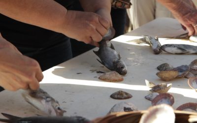 Fish and Poi: Lunch at the Loʻi