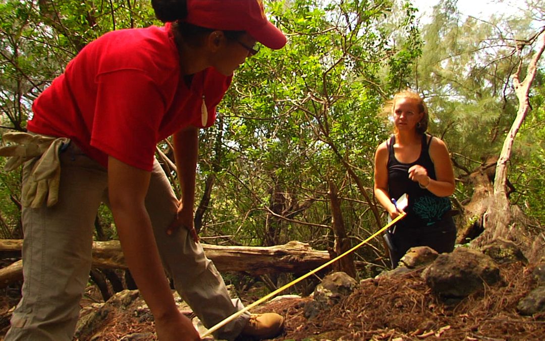 Kohala Becomes a Field School for Grad Students and Residents Alike