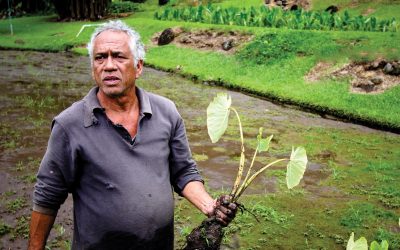 Nā Loea: The Great Heart of Waiokāne