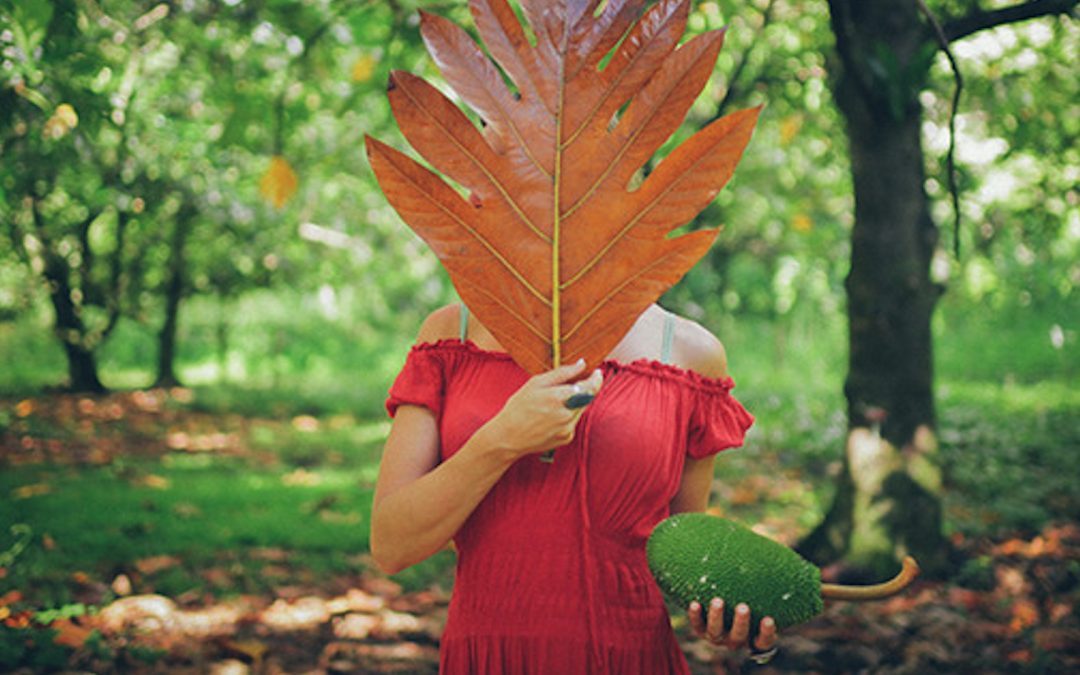 Provocative Film on Agribusiness and the Future of Hawaii