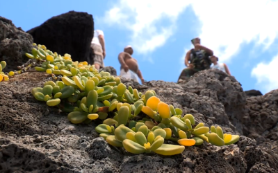 Hōkūleʻa: Voyaging Toward a Brighter Future – Anapuka, Molokaʻi