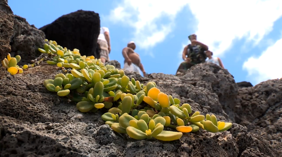 Hōkūleʻa: Voyaging Toward a Brighter Future – Anapuka, Molokaʻi