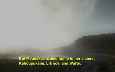 Wahi Koʻikoʻi – Waiʻau – ʻŌlelo Hawaiʻi