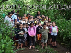 Aloha Koʻolauloa 2012