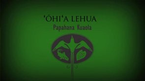 ʻŌhiʻa Lehua – Sam ʻOhu Gon