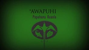 ʻAwapuhi – Kapalikū Schirman