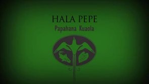 Hala Pepe – Sam ʻOhu Gon
