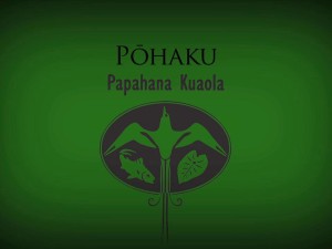 Pōhaku – Billy Fields