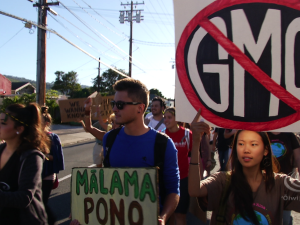 #IdleNoMore Hawaiʻi, Label GMO & Pounding Kalo