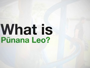 What is Pūnana Leo?