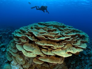 United States and Kiribati Sign Historic Cooperative Arrangement to Protect Vital Marine Habitat in the Pacific